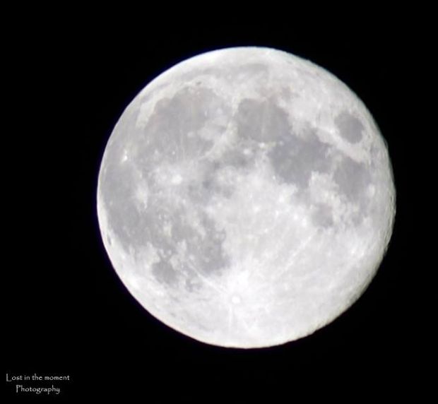 The Moon